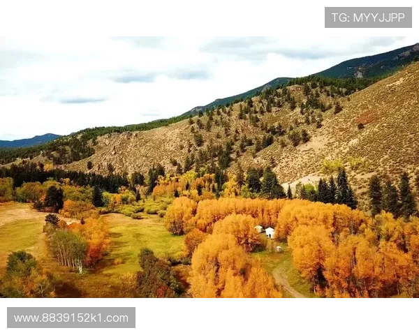 厄斯特松直播：北欧风情与自然美景的视觉盛宴